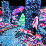 『猪子さん、マッキンゼーは嫌いですか?』からの抜粋記事です。