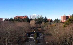 世界一大起業家を輩出するスタンフォード大学と日本の有名大学の驚くべき格差。No3。スタンフォードに追いつくための処方箋!